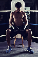 Image showing Workout, man and boxing ring for sports, corner or training for competition in gym for body health. Fighter, strong athlete and serious person with gloves for fitness, exercise and muscle at club