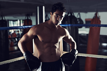 Image showing Male person, boxing and sport in gym, portrait and fitness for exercise and wellness in training for strong fight. Man, athlete and boxer in workout, challenge and shirtless ready to punch for mma