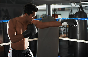 Image showing Punch, man and boxing ring for sports, exercise or competition in gym for body health. Fighter, serious and strong athlete with gloves for fitness, training or workout to practice with fist at club