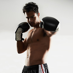 Image showing Man, serious and portrait with boxing gloves in studio for self defense, mma and combat. Male person, fighter and heavy training for physical sport with commitment, ready and strong for activity
