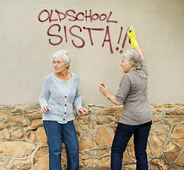 Image showing Senior women, graffiti or spray painting a wall, looking or vandalism for fun, trouble or humor. Elderly people, together or outdoor by damage to property, friends or retired with can, art or glove