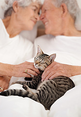 Image showing Senior couple, bedroom and cat for bonding, embrace and love in morning for smile and cuddle. Mature man, woman and kitty pet, happy and retirement to enjoy marriage and old people in bed at home