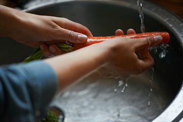 Image showing Hands, carrots and washing vegetables or healthy food in sink, preparing meal and kitchen while ready to cook. Person, rinsing fresh produce in basin at home for diet or organic recipe for wellness