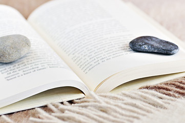 Image showing Relaxing reading