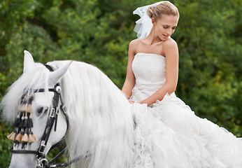 Image showing Wedding, woman and riding with horse outdoor or thoughtful for celebration, marriage or confidence in countryside. Bride, person and stallion on lawn in field with smile, dress and animal at ceremony