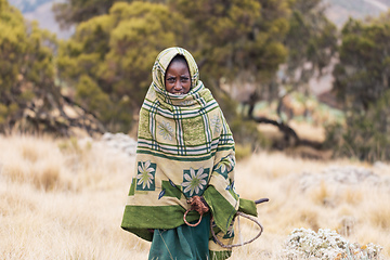 Image showing Ethiopian shepherdess girl, Simien Mountains, Ethiopia