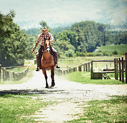 Image showing Cowboy, rodeo and man riding horse with saddle on field in countryside for equestrian or training. Nature, summer and western with mature horseback rider on animal at ranch outdoor in rural Texas