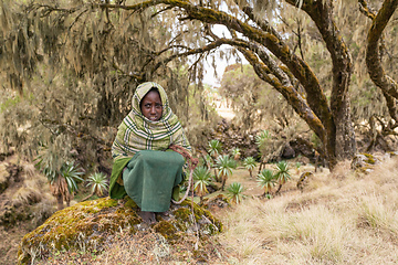 Image showing Ethiopian shepherdess girl, Simien Mountains, Ethiopia