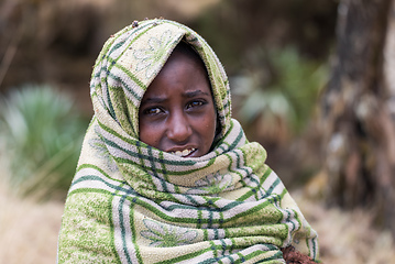 Image showing Ethiopian shepherdess girl, Simien Mountains, Ethiopia