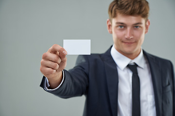 Image showing Professional man, business card and studio with suit, smile and advertisement for logo and brand. Male person, formal and marketing for contact, salesman and career choice for recruitment