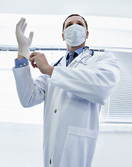Image showing Safety, doctor and man put on gloves in mask for protection or covid in hospital. Rubber, medical professional and ppe to prepare for surgery, treatment or prevention of disease in healthcare clinic