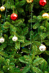 Image showing Christmas Tree