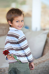 Image showing Flower, gift and portrait of a child with a present and giving for mothers day with a smile in a home. Happy, celebration and young boy with a surprise for holiday in living room with plant in lounge