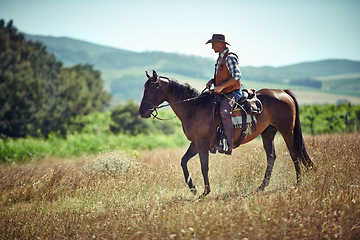 Image showing Meadow, western and cowboy riding horse with hat on field in countryside for equestrian or training. Nature, summer and rodeo with mature man on horseback saddle at ranch outdoor in rural Texas