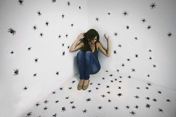 Image showing Woman, spiders and scream in fear at studio for arachnophobia problem, scared or shouting. Female person, insects and trapped with struggle suffering for danger panic or terror, poisonous or horror