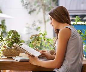 Image showing Education, reading and woman with book in cafeteria for knowledge with literature in morning. Diner, student and female person with novel or story for studying for assignment or test in restaurant.