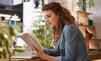 Image showing University, reading and woman with book in cafeteria for knowledge with literature in morning. Diner, student and female person studying novel or story for assignment, test or exam in restaurant.