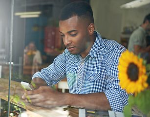 Image showing Window, man and smartphone at internet cafe for social media, communication and networking by table. Person, technology and restaurant for playing game, message or scrolling on website online