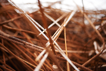 Image showing Rust, metal and wire for recycling in landfill, scrapyard or junkyard with waste. Environment, iron and cable with disposal for construction, upcycling and conservation for industrial maintenance