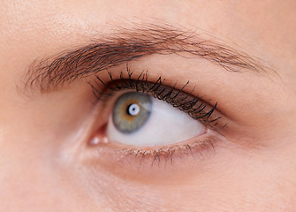 Image showing Mascara, makeup and beauty for eye of person, closeup and eyebrow of face, iris and cosmetics for model. Woman, pupil and contact lens to see treatment for eyelash extension, vision and results