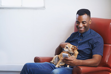 Image showing Man, phone and relax on social media at home, online and internet for website or blogging. Black male person, dog and typing for conversation on armchair, pet animal and app for shopping on weekend