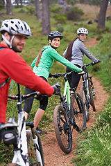 Image showing Cycling, portrait and sports people in nature for race, journey and training in competition or travel on path in forest. Group, athlete or friends on bicycle for exercise and cardio on the mountains