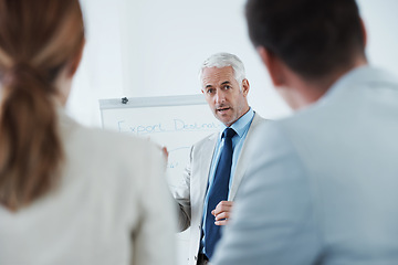 Image showing Mature, man and meeting with training in presentation for business, coaching and mentor with advice. People, learning and speaker in seminar for teaching team, strategy and businessman explain plan