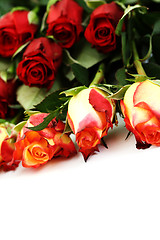 Image showing lots of roses