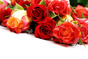 Image showing lots of roses