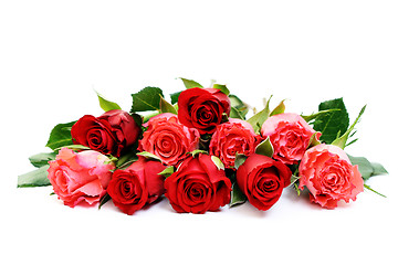 Image showing lots of roses