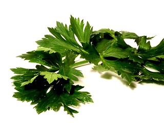 Image showing celery