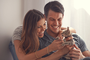 Image showing Couple, kitten and smile in home on sofa with hug for love, bonding or care for pet in living room. People, man and woman with kindness, embrace and excited for baby cat in lounge for animal adoption