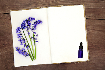 Image showing Bluebell Flowers for Naturopathic Herbal Medicine