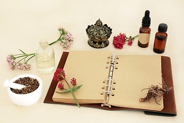Image showing Valerian Herb Root For Alternative Herbal Medicine