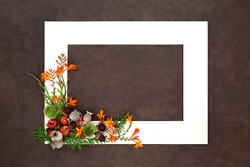 Image showing Autumn Fall Thanksgiving Nature Background Frame