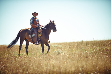 Image showing Man, horse and countryside land as cowboy for adventure riding in Texas meadow for explore farm, exercise or training. Male person, animal and stallion in rural environment on saddle, ranch or hobby