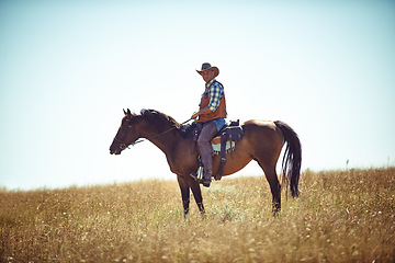 Image showing Man, horse and countryside field as cowboy for adventure riding in Texas meadow for explore farm, exercise or training. Male person, animal and stallion in rural environment on saddle, ranch or hobby