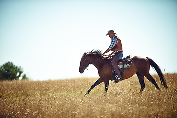 Image showing Cowboy, blue sky and man riding horse with saddle on field in countryside for equestrian or training. Nature, summer and fresh air with person or horseback rider on animal outdoor in rural Texas