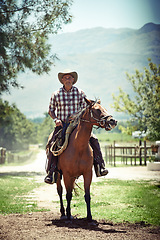 Image showing Portrait, cowboy and horse riding with mature man on saddle on field in countryside for equestrian or training. Nature, summer and hobby with horseback rider on animal at ranch outdoor in rural Texas