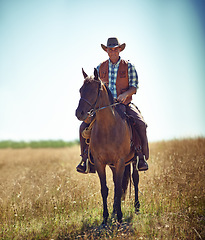 Image showing Man, portrait and horse riding in countryside as cowboy or adventure in Texas meadow for explore, exercise or training. Male person, animal and stallion in rural environment on saddle, ranch or hobby