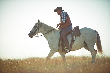 Image showing Man, horse riding and countryside field as cowboy for adventure in Texas meadow to explore land, exercise or training. Male person, animal and stallion in rural environment on saddle, ranch or hobby