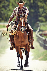 Image showing Cowboy, running and man riding horse with saddle on field in countryside for equestrian or training. Nature, summer and speed with mature horseback rider on animal at ranch outdoor in rural Texas