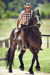 Image showing Cowboy, smile and man riding horse with saddle on field in countryside for equestrian or training. Agriculture, summer and happy mature horseback rider on animal at ranch outdoor in rural Texas