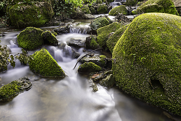 Image showing mountain stream flowing through mossy rocks