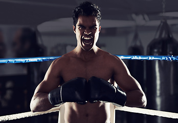 Image showing Boxer, man and gym with shout, boxing ring and scream for workout or training. Person, exercise and fitness for health, wellness and confidence for winning with discipline for professional fight