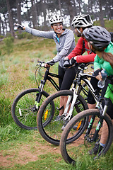 Image showing Friends, cyclist and forest on bike with smile for bonding, exercise and health with adventure in Chicago. Fitness, trail and mountain with hobby for happiness in nature, trip and wellness for fun.