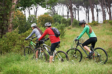 Image showing Cycling, sports and friends in nature for fitness, race and journey with competition or training on path in forest. Group of people or athlete on bicycle for exercise, health and cardio on mountains