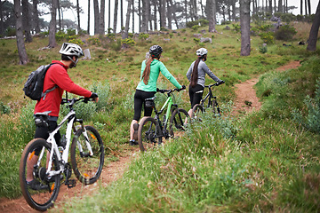 Image showing Bicycle, fitness and sports people in nature for marathon, race and journey with competition or training on path. Group, athlete or friends cycling for exercise and cardio in the forest or mountains