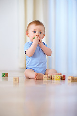 Image showing Baby, wooden blocks and playing with toys for early childhood development or youth at home. Little boy, cute toddler or child on floor with shape or cube for building, learning or skills at the house