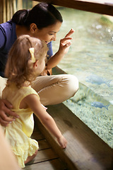 Image showing Happy mother, child and aquarium with fish tank for sightseeing, learning or education of sea animals. Mom and young little girl looking at glass exhibit or exploring creatures in water at the zoo